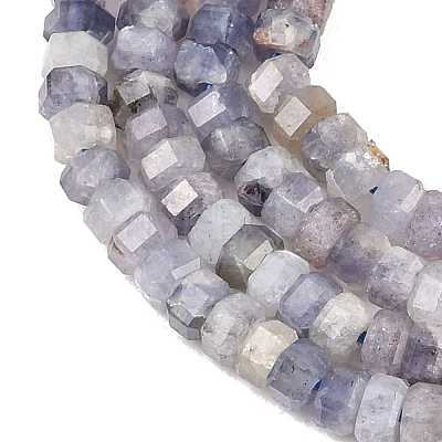 Natural Iolite Beads Strands G-G345-C06-2x4mm-1