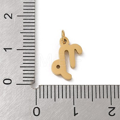 304 Stainless Steel Charms STAS-R001-04G-10-1