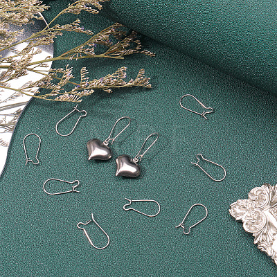 2 Styles 925 Sterling Silver Earring Hoops STER-BBC0009-79-1