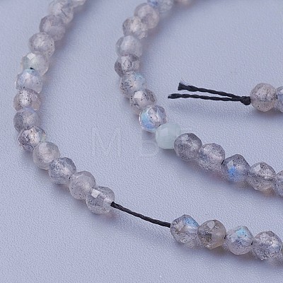 Natural Labradorite Beads Strands G-F619-15-3mm-1