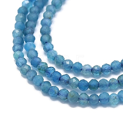 Natural Apatite Beads Strands G-G106-C06-04-1