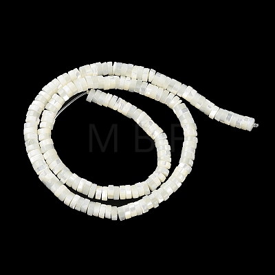Natural Trochus Shell Beads Strands BSHE-E030-09A-01-1
