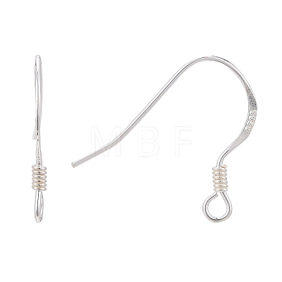 925 Sterling Silver Earring Hooks STER-K167-049B-S-1