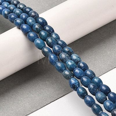 Natural Dolomite Beads Strands G-F765-A03-01-1