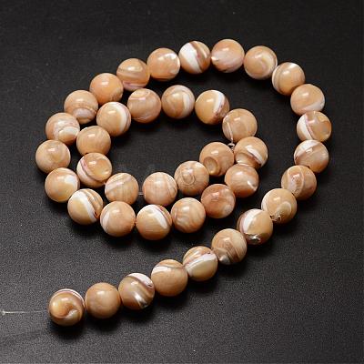 Natural Sea Shell Beads Strands SSHEL-K013-10mm-B-1
