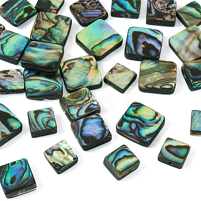 30Pcs 3 Styles Natural Paua Shell Beads BSHE-TA0001-37-1