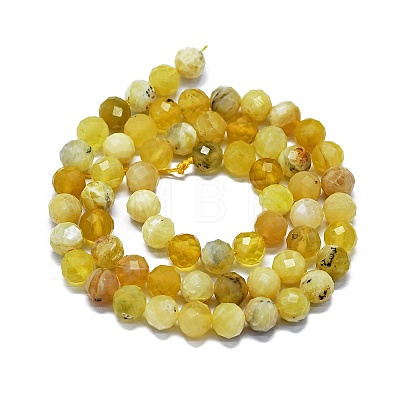 Natural Yellow Opal Beads Strands G-G927-26-1