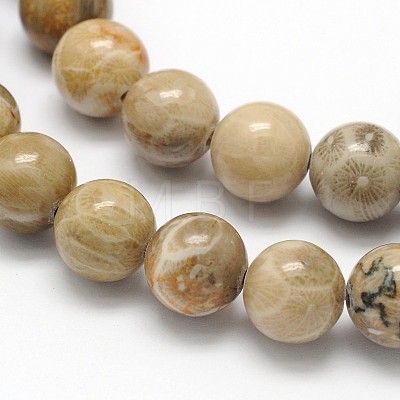 Natural Fossil Coral Round Bead Strands G-N0166-05-6mm-1