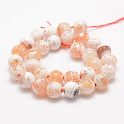 Faceted Natural Fire Crackle Agate Beads Strands G-F447-12mm-B03-1