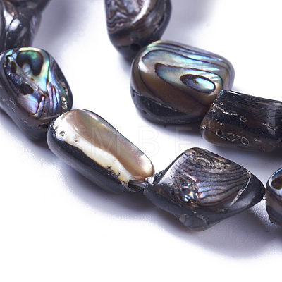 Natural Abalone Shell/Paua Shell Beads Strands SSHEL-F303-08B-1