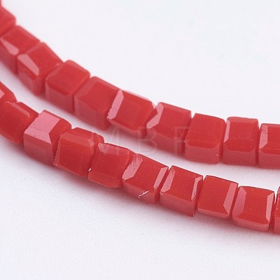 Opaque Glass Beads Strands EGLA-F121-NC01-1