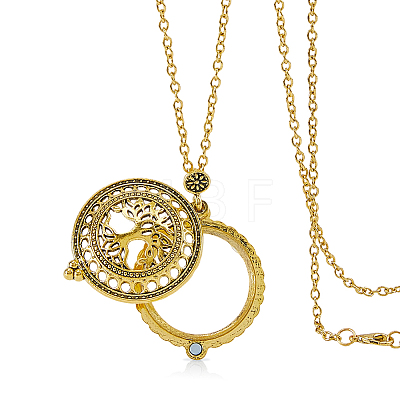 1Pc Magnifying Glass Magnetic Locket Pendant Necklaces for Women TOOL-FH0001-86-1