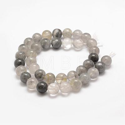 Natural Cloudy Quartz Beads Strands G-E376-6mm-01-1