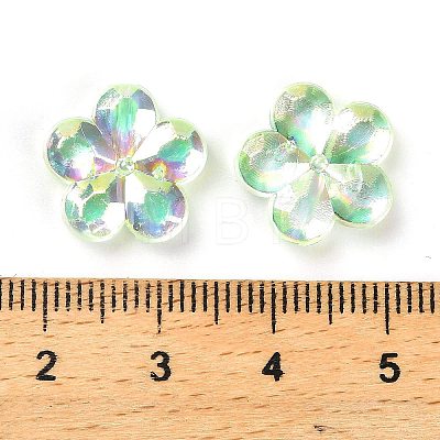 Transaparent Acrylic Beads PACR-H004-01F-1