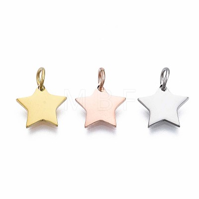 304 Stainless Steel Charms STAS-T059-27-1