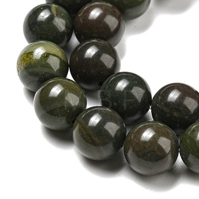 Natural African Green Autumn Jasper Beads Strands G-R494-A19-04-1