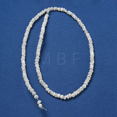 Natural Trochus Shell Beads Strands SSHEL-H072-13B-1
