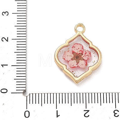 Alloy Epoxy Resin Pendants AL-Z001-08G-06-1