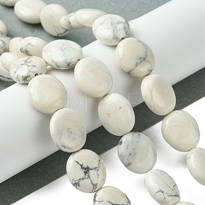 Natural Howlite Beads Strands G-K365-B14-02-1