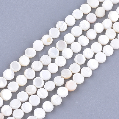 Freshwater Shell Beads Strands X-SHEL-S276-15B-1