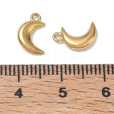 304 Stainless Steel Charms STAS-D310-06G-02-1