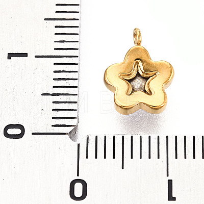 304 Stainless Steel Charms STAS-N112-02A-G-1