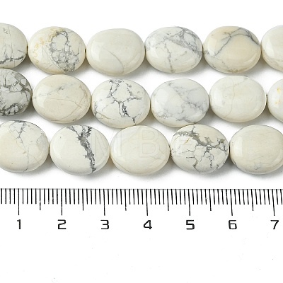 Natural Howlite Beads Strands G-K365-B14-02-1