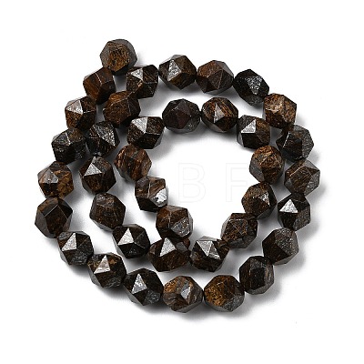 Natural Bronzite Beads Strands G-Z119-A30-03-1