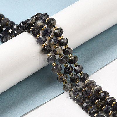 Natural Iolite Beads Strands G-P508-A12-01-1