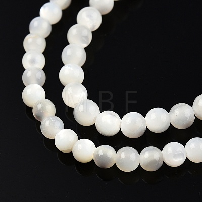 Natural White Shell Bead Strands X-SSHEL-N003-144C-01-1