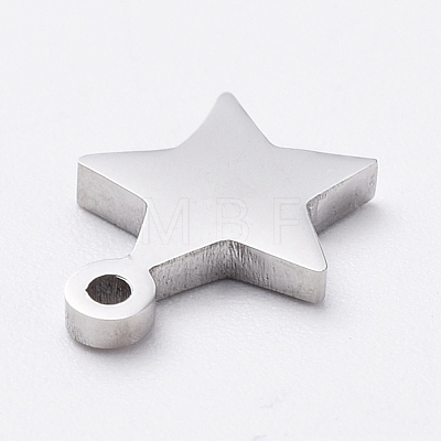 304 Stainless Steel Charms STAS-G215-16-P02-1