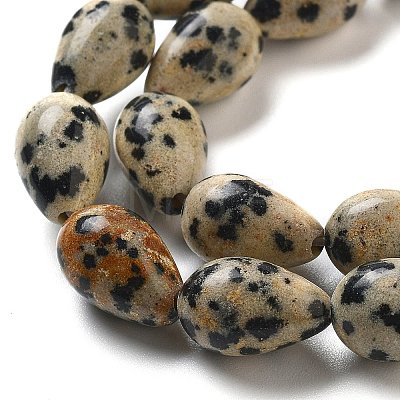 Natural Dalmatian Jasper Beads Strands G-B106-A29-02-1