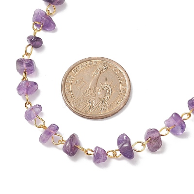 Natural Amethyst Chips Beaded Necklaces NJEW-JN04061-01-1