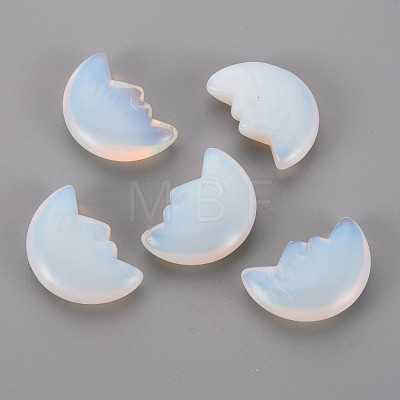 Opalite Beads G-T132-033-1