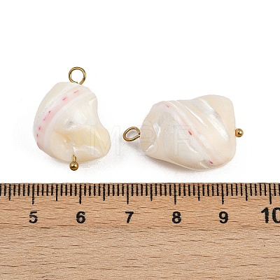 Natural Shell Nuggets Pendants STAS-D378-30G-1