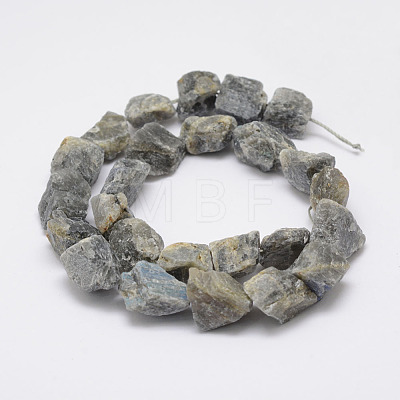 Raw Rough Natural Labradorite Beads Strands G-F403-12-1