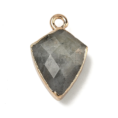 Natural Labradorite Pendants G-K422-01G-14-1