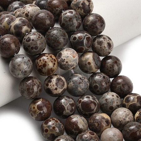 Natural Astroite Jasper Beads Strands G-H329-C02-10mm-1