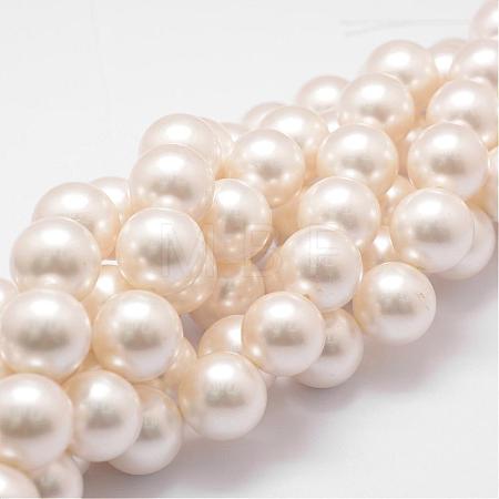 Shell Pearl Bead Strands BSHE-L026-03-16mm-1
