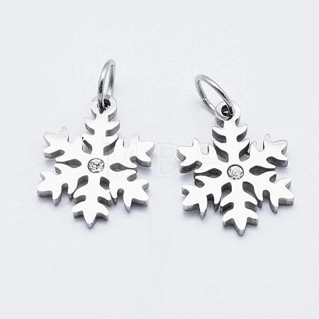 Eco-Friendly 316 Surgical Stainless Steel Micro Pave Cubic Zirconia Charms RB-I078-71P-NR-1