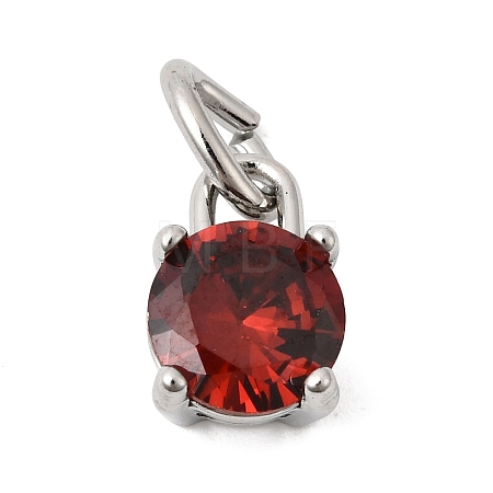Birthdaystone Theme January 304 Stainless Steel Charms STAS-B128-60P-01-1