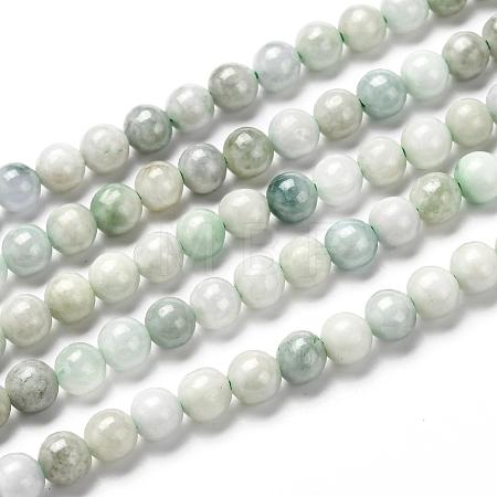 Natural Jadeite Beads Strands G-L568-001D-1