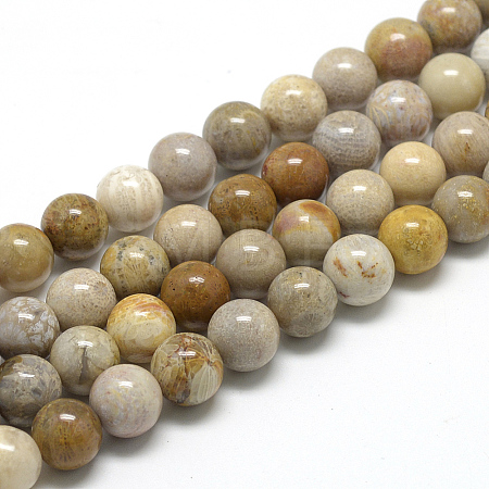 Natural Fossil Coral Beads Strands X-G-R446-6mm-28-1