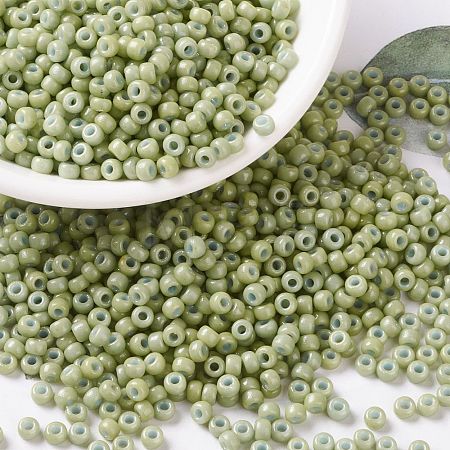 MIYUKI Round Rocailles Beads X-SEED-G008-RR4473-1