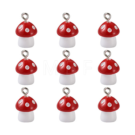 Plastic Pendants KY-TA0001-15E-1