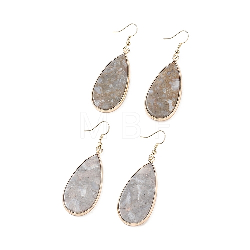 Natural Ocean Agate Teardrop Dangle Earrings EJEW-G331-01G-09-1