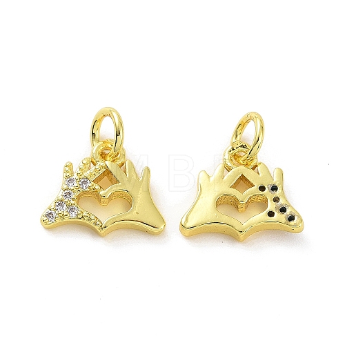 Brass Micro Pave Clear Cubic Zirconia Charms KK-E068-VF074-1