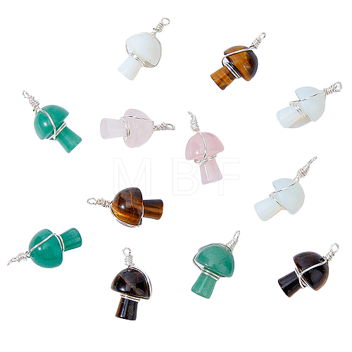 12Pcs Natural & Synthetic Gemstone Pendants FIND-HY0001-29-1