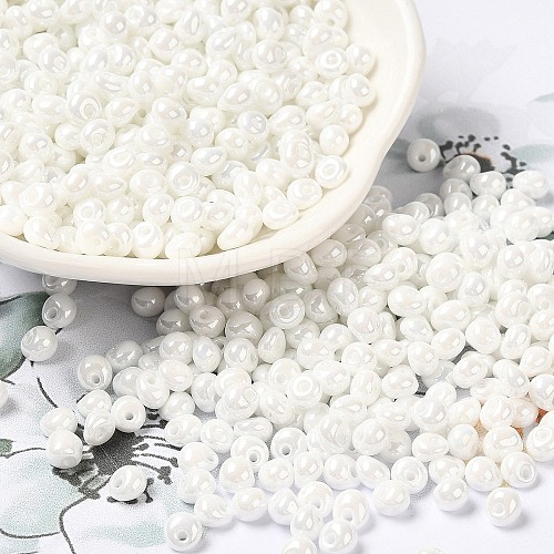 6/0 Glass Seed Beads SEED-M012-01A-16-1