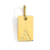 304 Stainless Steel Pendants STAS-Z143-01G-A-1